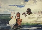 Winslow Homer The Turtle Pound (mk44) oil painting